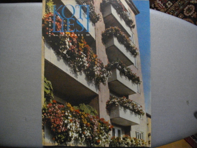 Kotiliesi Nro 16/1961 (15.3)