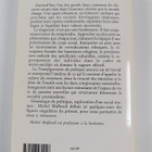 Michel Maffesoli : La transfiguration du politique : la t... - pikkukuva 2