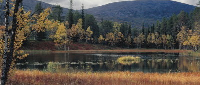 Ruskaa Pallastunturilla  (panoraamakortti)