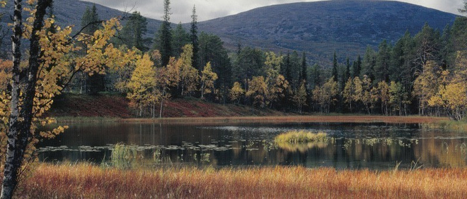 Ruskaa Pallastunturilla  (panoraamakortti)