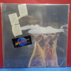 GUIDED BY VOICES - THE PIPE DREAMS OF INSTANT PRINCE EP LP - pikkukuva 1
