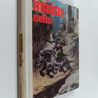 Edgar Rice Burroughs : Marsin neito - pikkukuva 1
