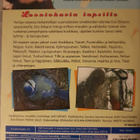 TSIRLIPS & HILARIUS HIIRI DVD - pikkukuva 2