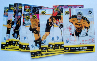 BLUELINE 2025-26 Teamset SAIPA (325-336)