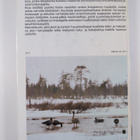 Olavi ym. (toim.) Hilden : Muuttolinnut - pikkukuva 2