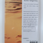Tahar Ben Jelloun : Tyyntä Tangerissa - pikkukuva 2