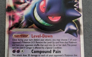 Gengar LV. X