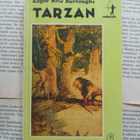 Edgar Rice Burroughs - Tarzanin viidakkoseikkailuja (nid.) - pikkukuva 1