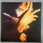 Terence Trent Darby : Darby's Neither Fish Nor Flesh Lp - pikkukuva 1