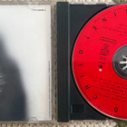 DESMOND CHILD: Discipline (CD) - pikkukuva 2