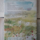 Khaled Hosseini - Meren rukous (sid.) - pikkukuva 2