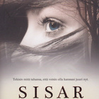 Rosamund Lupton: Sisar - pikkukuva 1