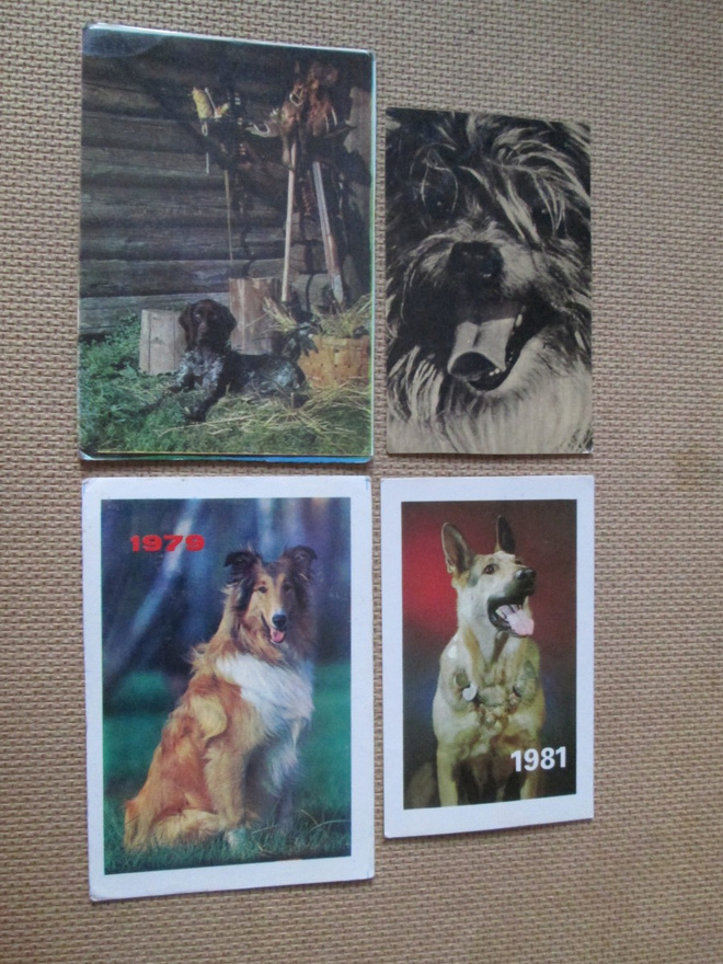 CCCP: neljä kalenterikorttia 1977-1981 - koira -aihe