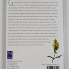 Nikos Nikitidis ym. : Green plants & herbs of Greece - pikkukuva 2