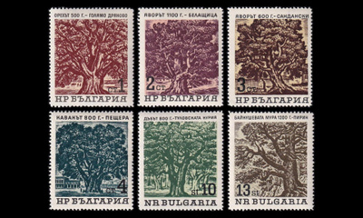 Bulgaria 1502-7 ** Vanhat puut (1964)