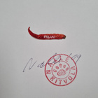 Nalle Ritvola : Paluu (signeerattu) - pikkukuva 3