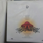 FUCKED UP - THE CHEMISTRY OF COMMON LIFE UUSI 2LP - pikkukuva 2