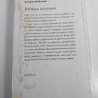 Vilho Sorvari : Polttava leveysaste - pikkukuva 2