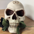 2 kpl Alchemy Gothic, UK -pääkalloja LUONNOLLISESSA KOOSSA!! - pikkukuva 3