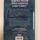 Tiina Raevaara : Polaaripyörre - pikkukuva 2
