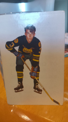 Champion -66 jääkiekko Timo Saari!