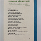Koulun värikuvakasvio - pikkukuva 2