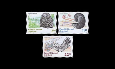 Grönlanti 529-31 ** Fossiililöytöjä (2009)