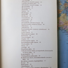 Elsebeth Gynther: Ompele lapselle - pikkukuva 4