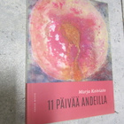 Marja Koivisto : 11 päivää Andeilla - pikkukuva 1