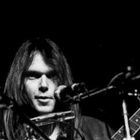 NEIL YOUNG & CRAZY HORSE :: LIFE :: VINYYLI LP 1987 - pikkukuva 2