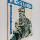 W. Mc Cornick : Michelnangelo - The works : The sistine c... - pikkukuva 1