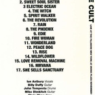 The cult new york city dvd - pikkukuva 2