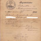Papintodistus Savonlinnan hiippakunta 1906. - pikkukuva 1