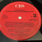 BONNIE TYLER - Secret Dream And Forbidden Fire - pikkukuva 3