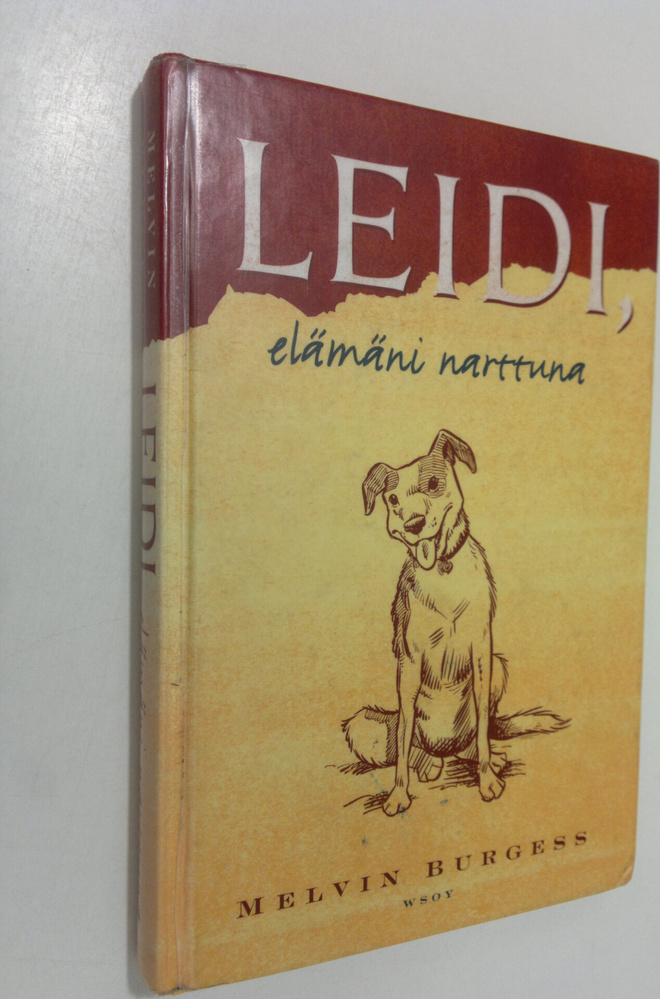 Melvin Burgess : Leidi : elämäni narttuna