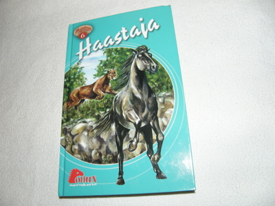 Terri Farley Haastaja
