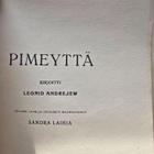 Andrejev Leonid - Pimeyttä - pikkukuva 2