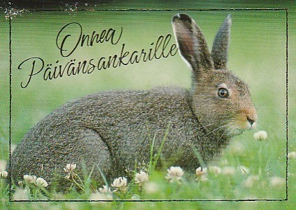 Postikortti, Eläinaihe, eläimet , jänis / kani