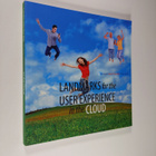 Kaisa Väänänen-Vainio-Mattila : Landmarks for the user ex... - pikkukuva 1