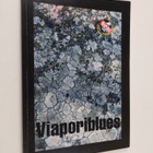 Markku Tanttu : Viaporiblues - pikkukuva 1