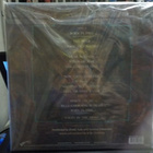 STEVE WALSH - BLACK BUTTERFLY. NEW EU -2018. 2LP - pikkukuva 2