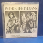 PETER & THE INDIANS - INDIAN ROCK M-/M- FIN -79 7" - pikkukuva 2