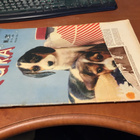 SEURA LEHTI 21/1956 - pikkukuva 1