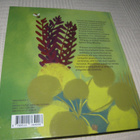 Niemelä - Pertamo Kimalaisen postitoimisto - pikkukuva 5