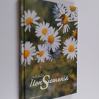 Auli Sulin : Ilon siemeniä - pikkukuva 1