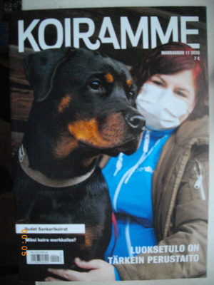 Koiramme Nro 11/2020