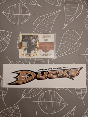 Anaheim Ducks - Vinyylitarra, NHL