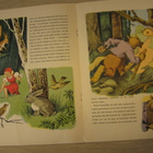 Punahilkka - Asmo Alho - pikkukuva 4