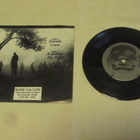 Gnosis: Disunion  7"  EP    1994     Punk / Noise - pikkukuva 2