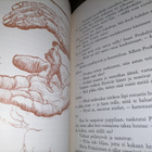 Grimmin sadut - kuv. Arthur Rackham - pikkukuva 4